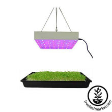 Load image into Gallery viewer, 50 Watt LED Grow Light Panel