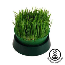 Load image into Gallery viewer, Basic Sprouting Kit - Tray Seed Sprouter Kit