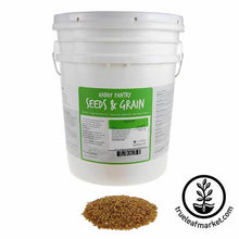 Load image into Gallery viewer, Oat Groats (organic) - Bulk Grains &amp; Foods
