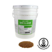Load image into Gallery viewer, Triticale (organic) - Grass Seeds
