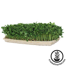Load image into Gallery viewer, True Micro Tray - ECO Compostable Trays
