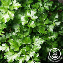 Load image into Gallery viewer, Easy &amp; Delicious Bilingual Herb Seed Collection
